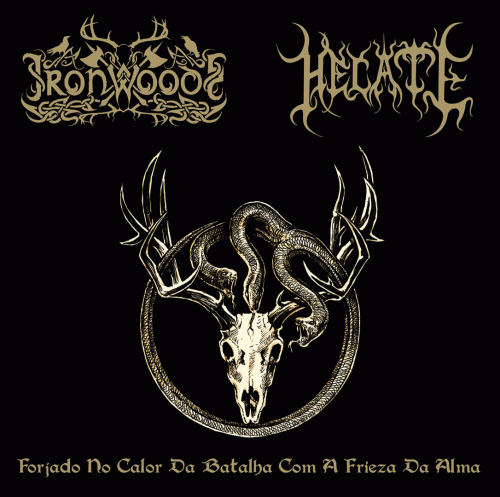 Iron Woods : Forjado no Calor da Batalha com a Frieza da Alma